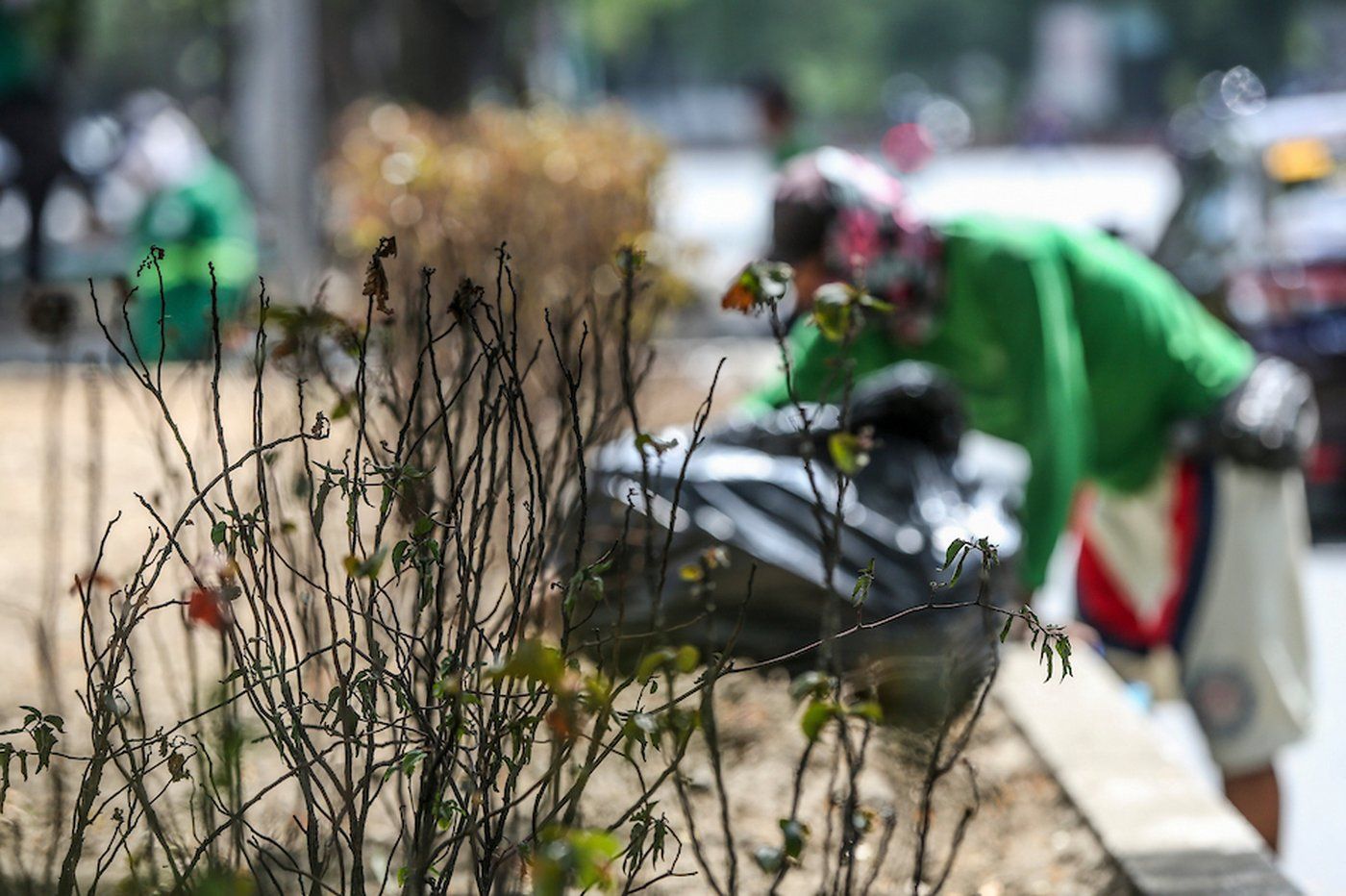 El Niño weather pattern enters record territory—scientist