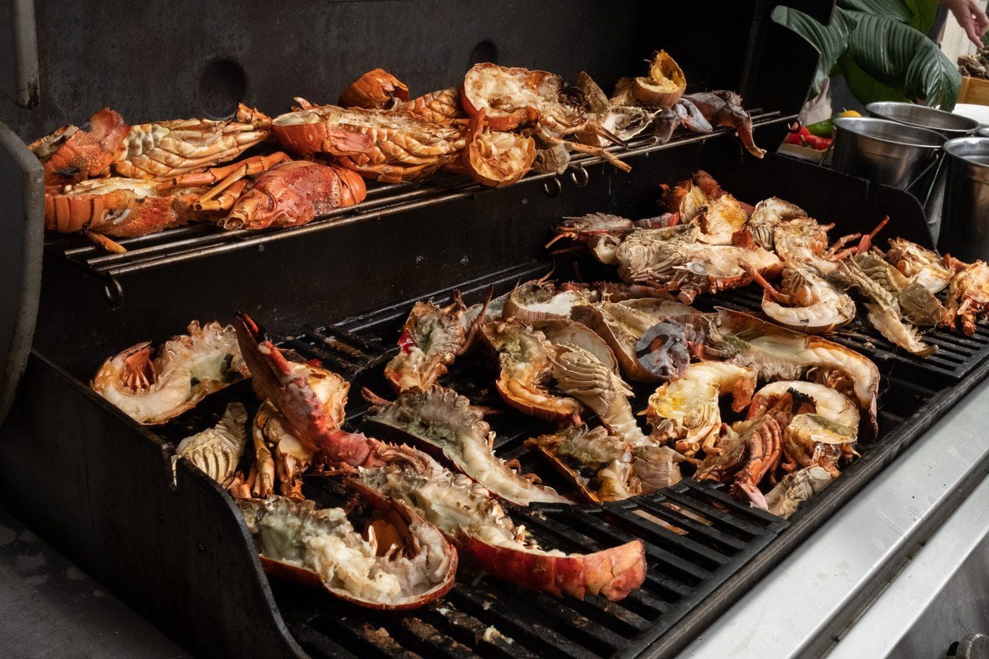 Lobster takes center stage at HEAT’s Sunday lunch buffet